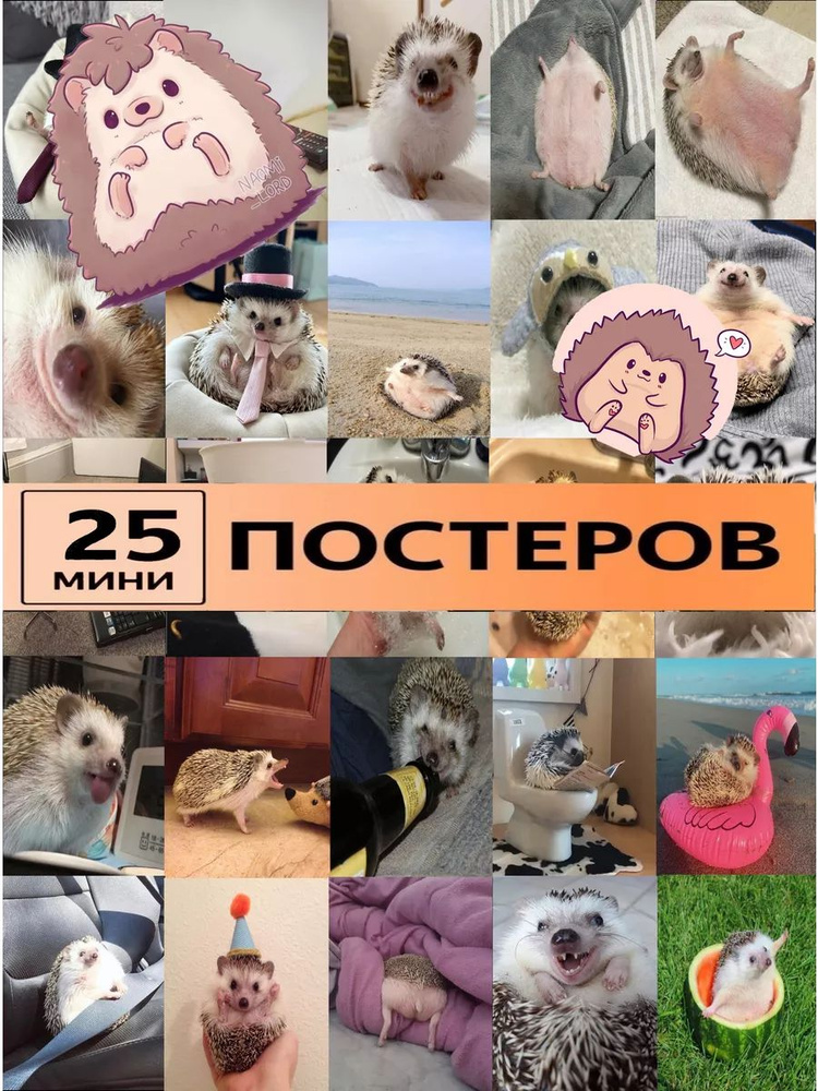 ежик постеры #1
