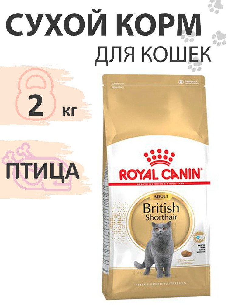 Royal Canin Breed cat British Shorthair / Сухой корм Роял Канин для Взрослых кошек породы Британская #1