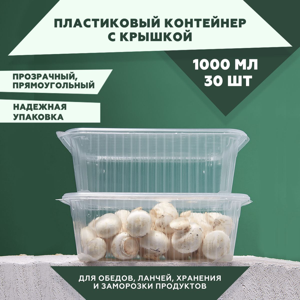 Одноразовый контейнер с крышкой 1000 мл., 30 штук. Для обедов, ланчей, хранения и заморозки продуктов. #1