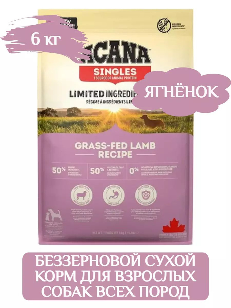 Acana lamb best sale