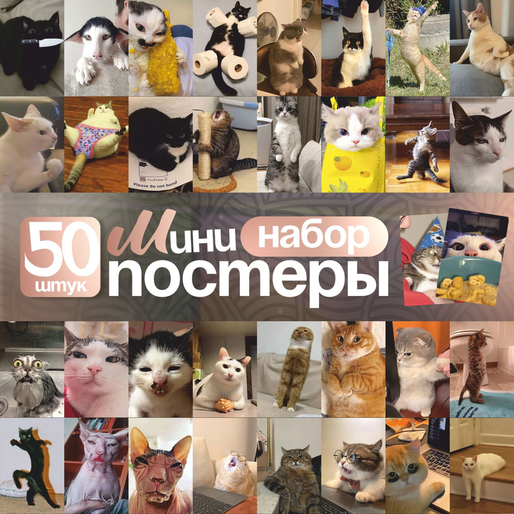 Мини постеры мемы с котами #1