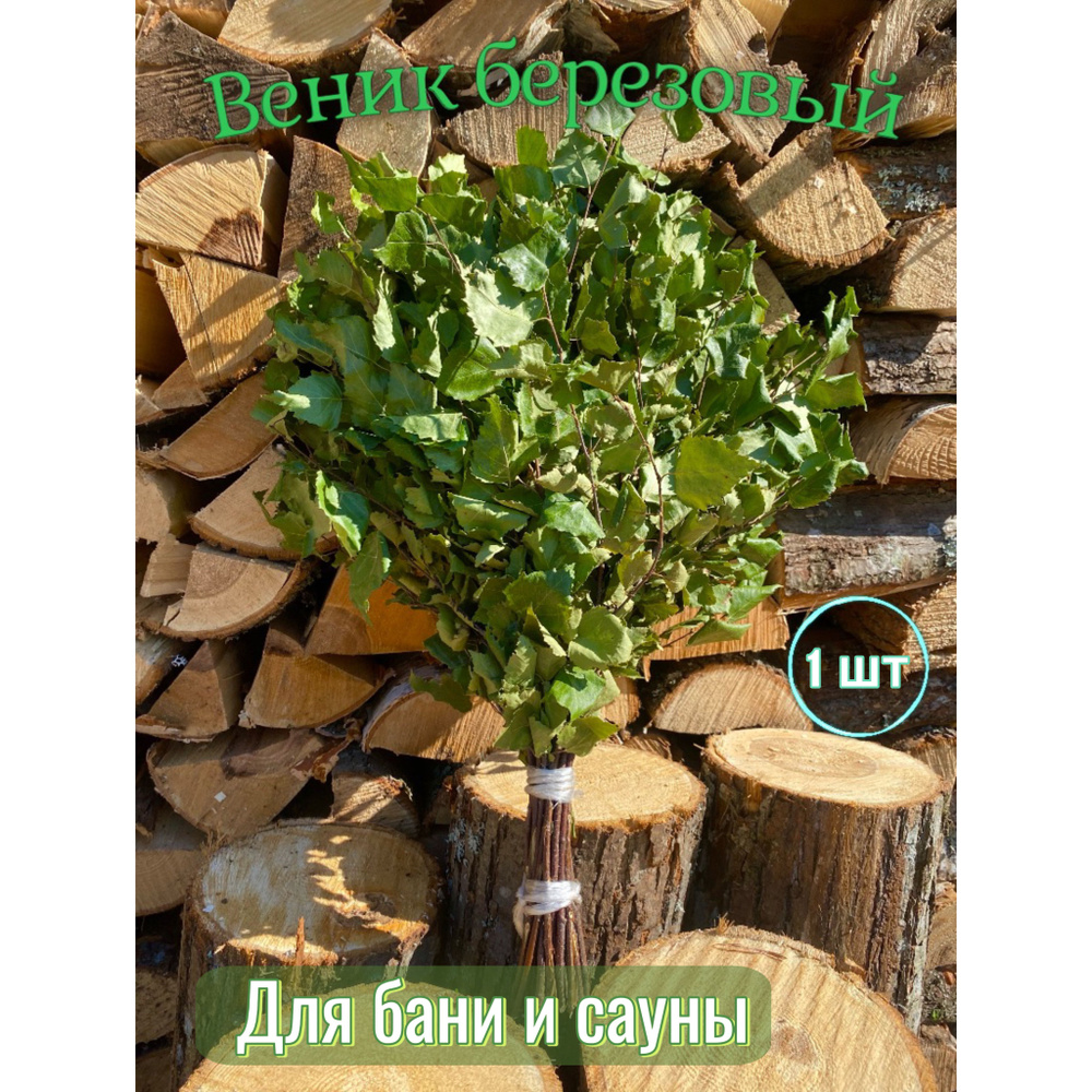 Веник березовый для бани, СВЕЖИЙ СБОР, 1 шт #1