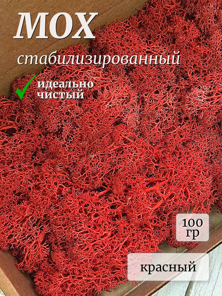 Мох стабилизированный ягель цветной 100 гр красный #1