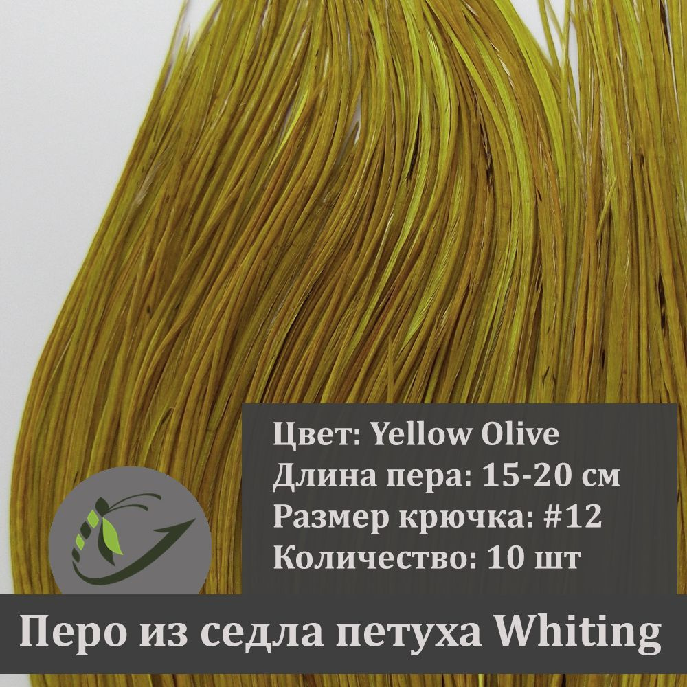 Перо петуха Whiting для вязания мушек, 10 шт, крючок #12, 15-20 см, цвет Yellow Olive  #1