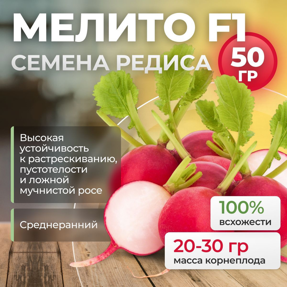 Мелито F1 семена редиса, 50 гр. (Hazera / ALEXAGRO). Высокоурожайный гибрид для открытого грунта и пленочных #1