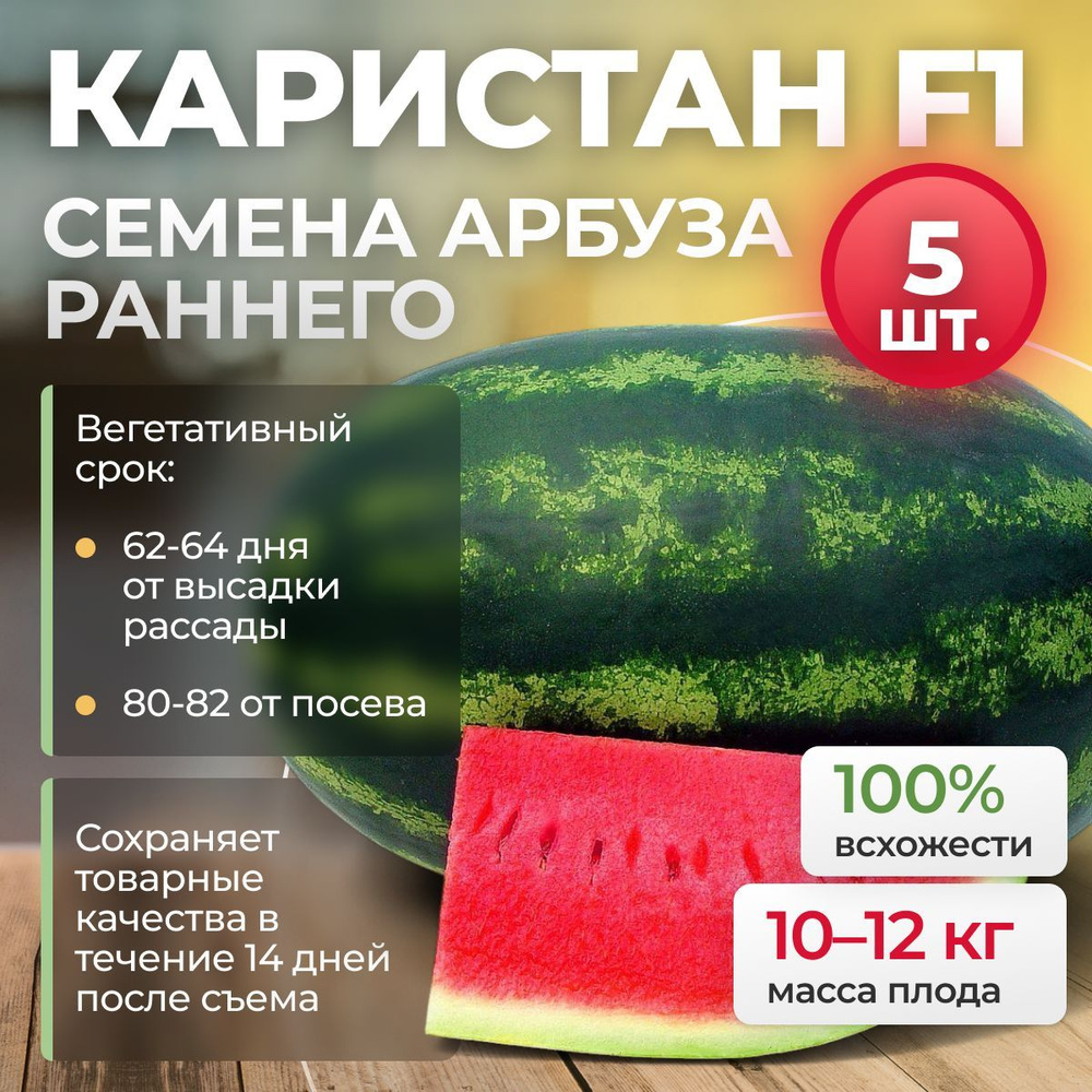 КАРИСТАН F1 семена арбуза, 5 шт. (Syngenta / ALEXAGRO). Среднеранний гибрид  #1