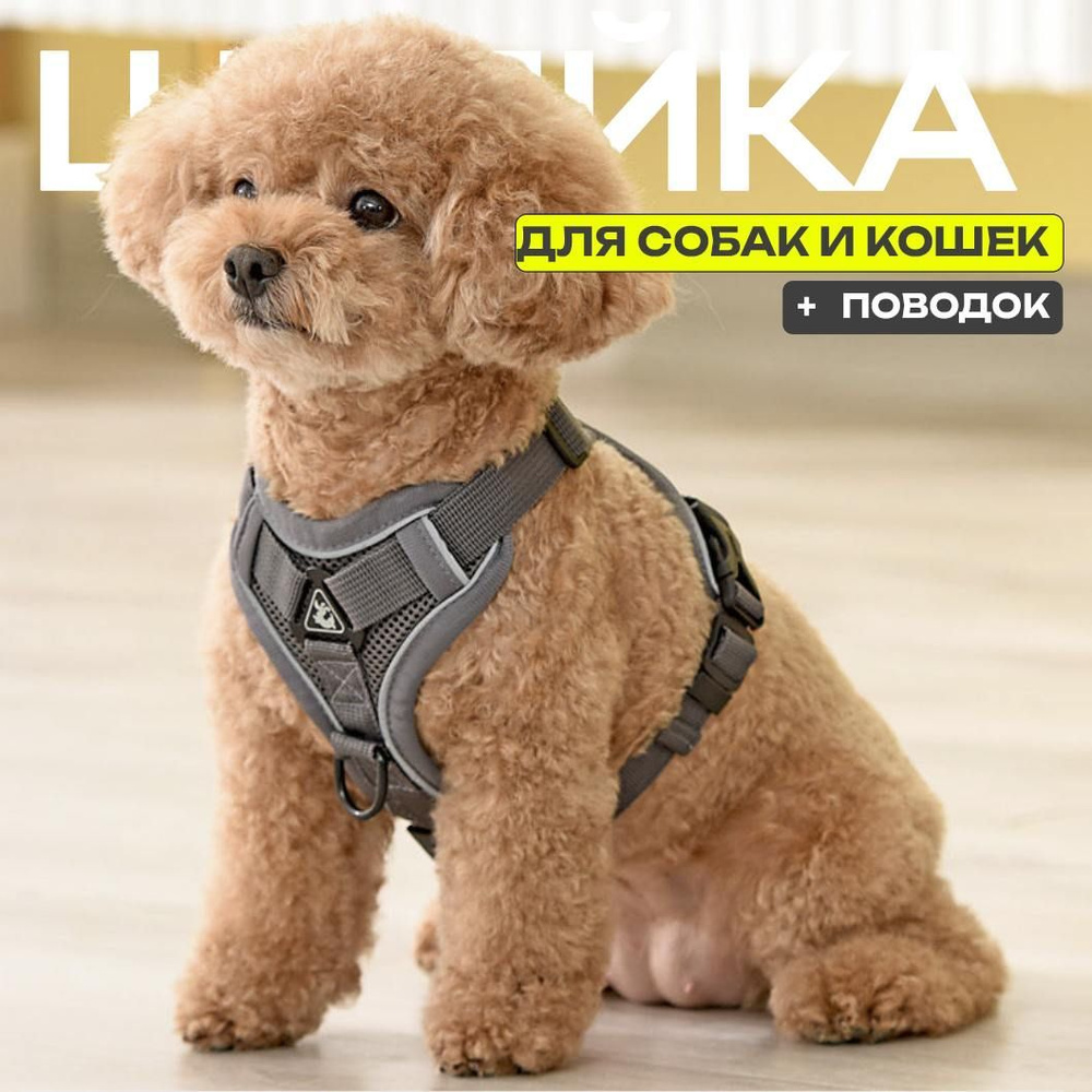 Шлейка #1