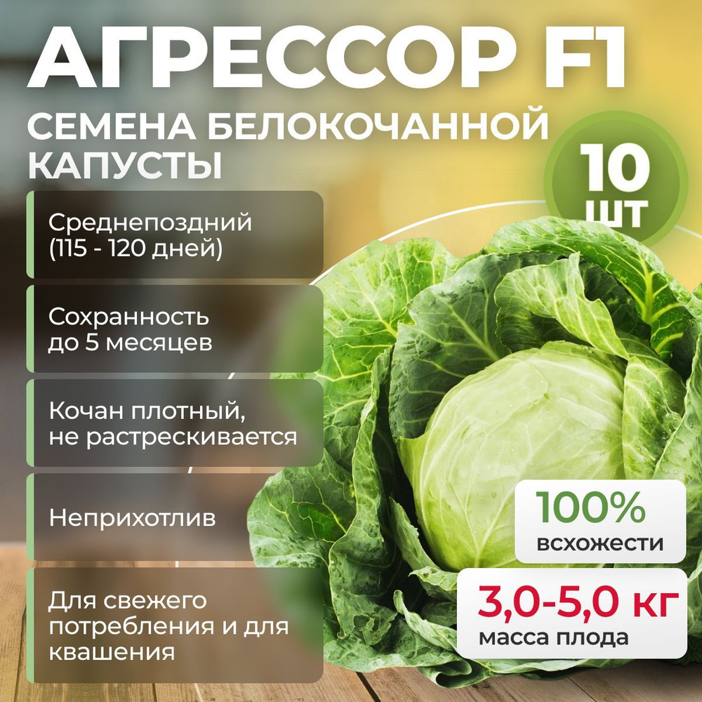 АГРЕССОР F1 семена капусты белокочанной, 10 шт (Syngenta / ALEXAGRO). Высокоурожайный, среднепоздний #1