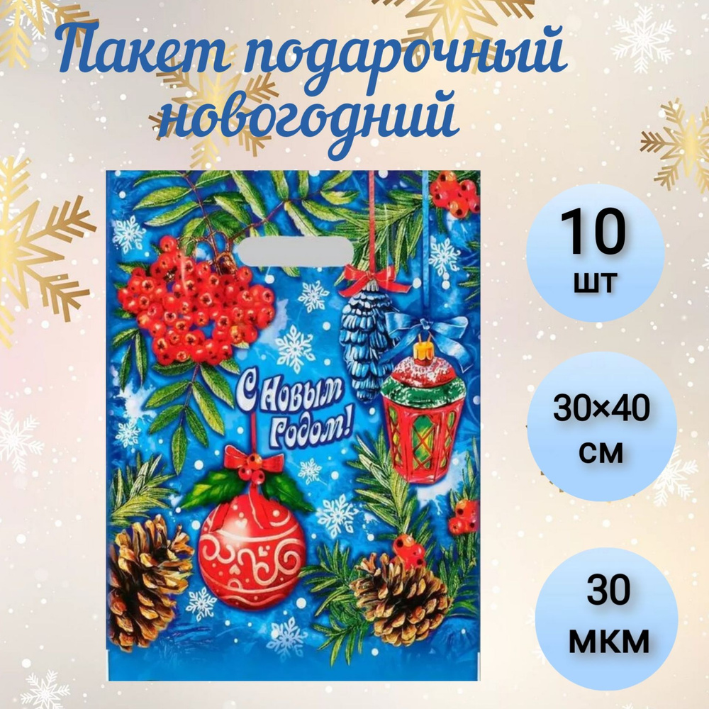 Пакет новогодний "Рябиновый этюд", с вырубной ручкой, 40 х 30 см, 30 мкм, 10 шт.  #1