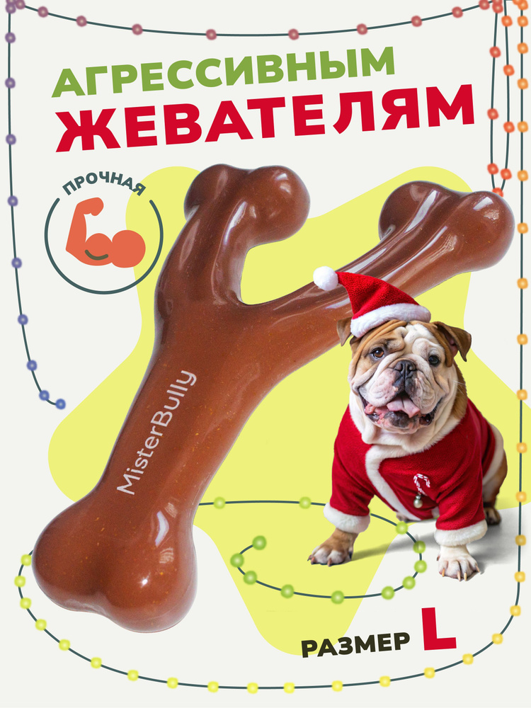 MisterBully игрушка - косточка для средних собак со вкусом говядины долгоиграющая, для чистки зубов  #1