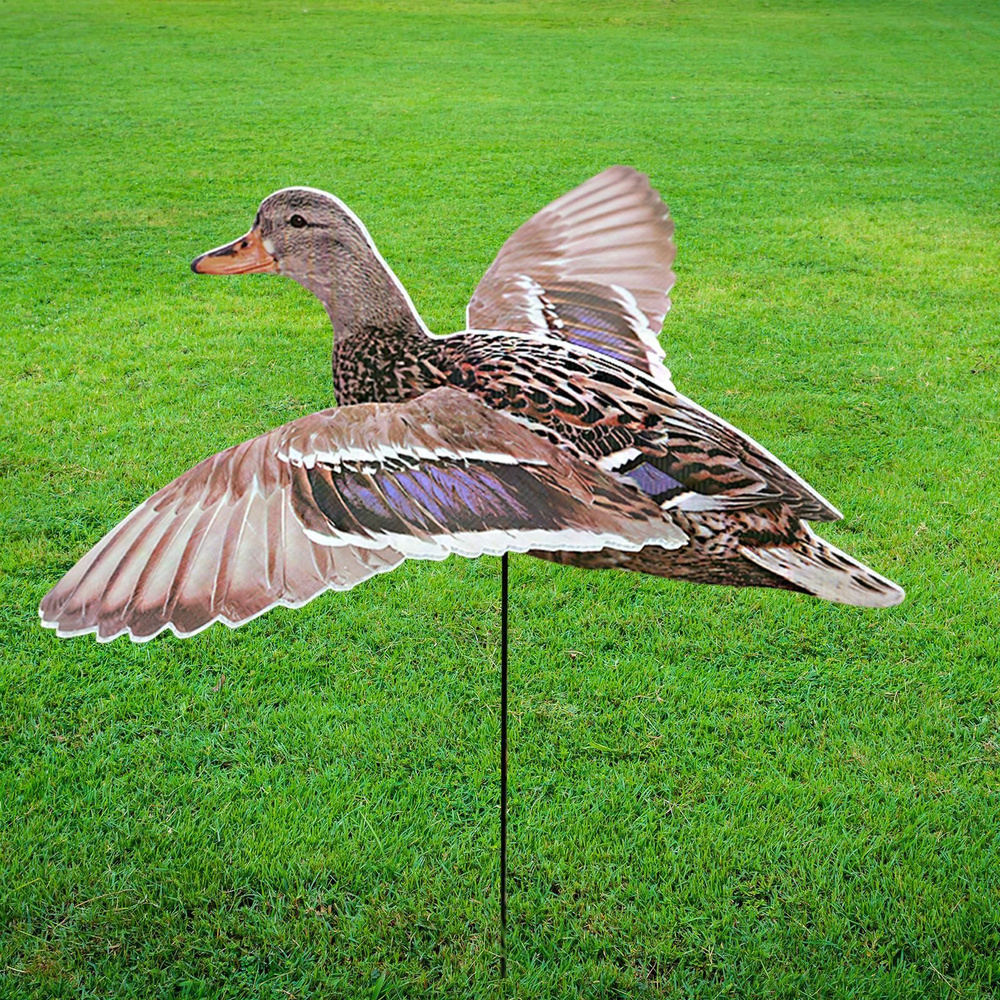 Манок #1