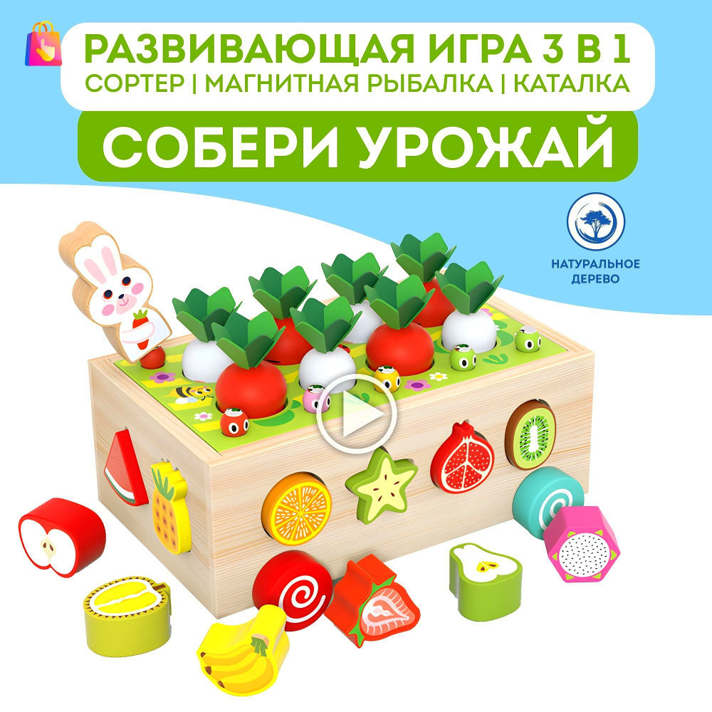Сортер #1