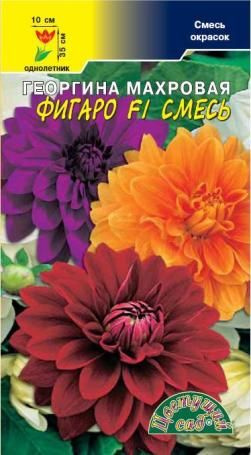 Цв Георгина Фигаро F1 Смесь махровая #1