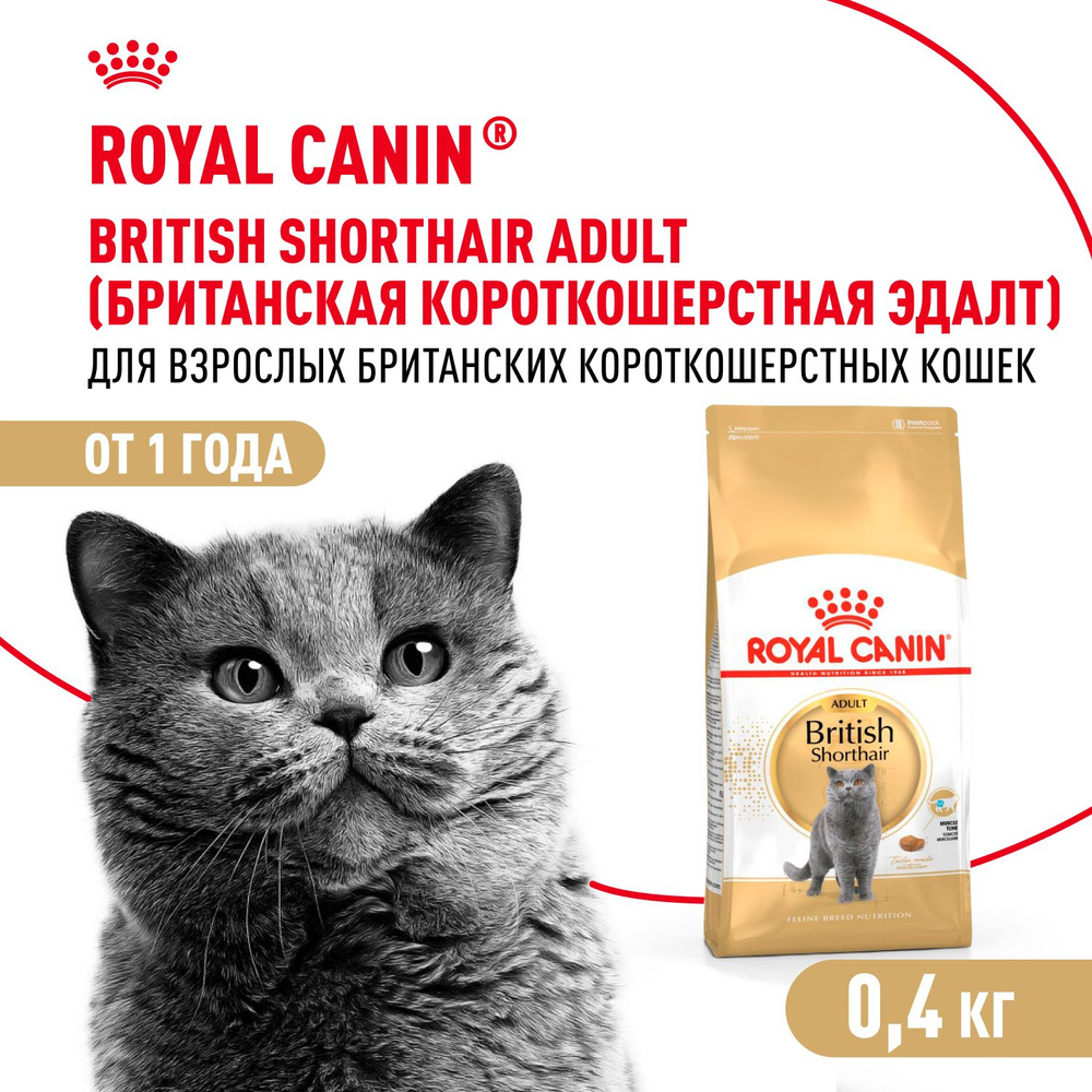 Корм сухой сбалансированный Royal Canin British Shorthair Adult для взрослых британских короткошерстных #1