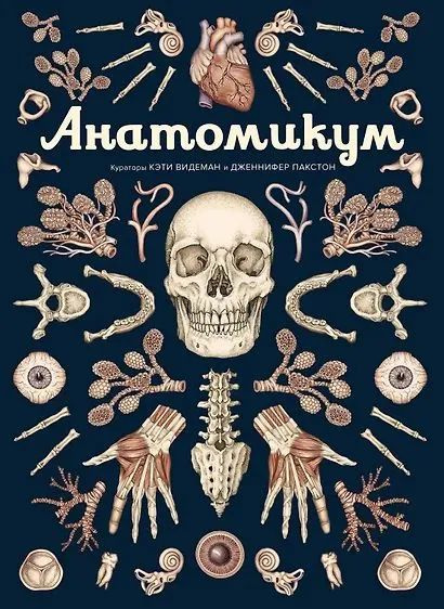 Анатомикум #1