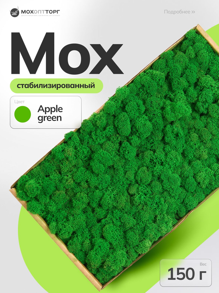 МОХОПТТОРГ Стабилизированный мох Мох, 7 см, 150 гр, 1 шт #1
