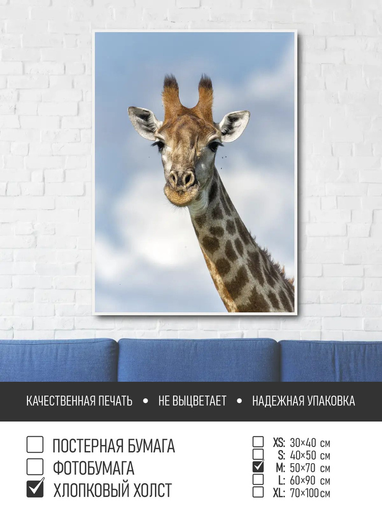 Постер на холсте Портрет жирафа из африки, 50х70 см ПолиЦентр #1