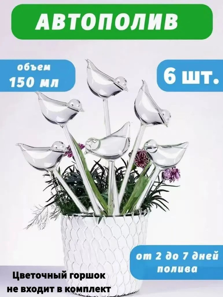 6-ozon-2404871133