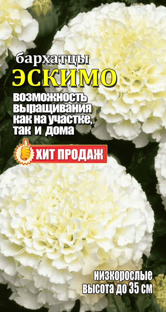 Семена #1