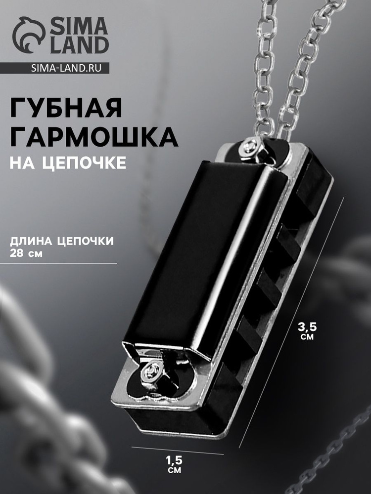 Губная гармошка Music Life 4 отверстия, 8 тонов, 3,5х1,5х1см, цепь 28см, черная #1