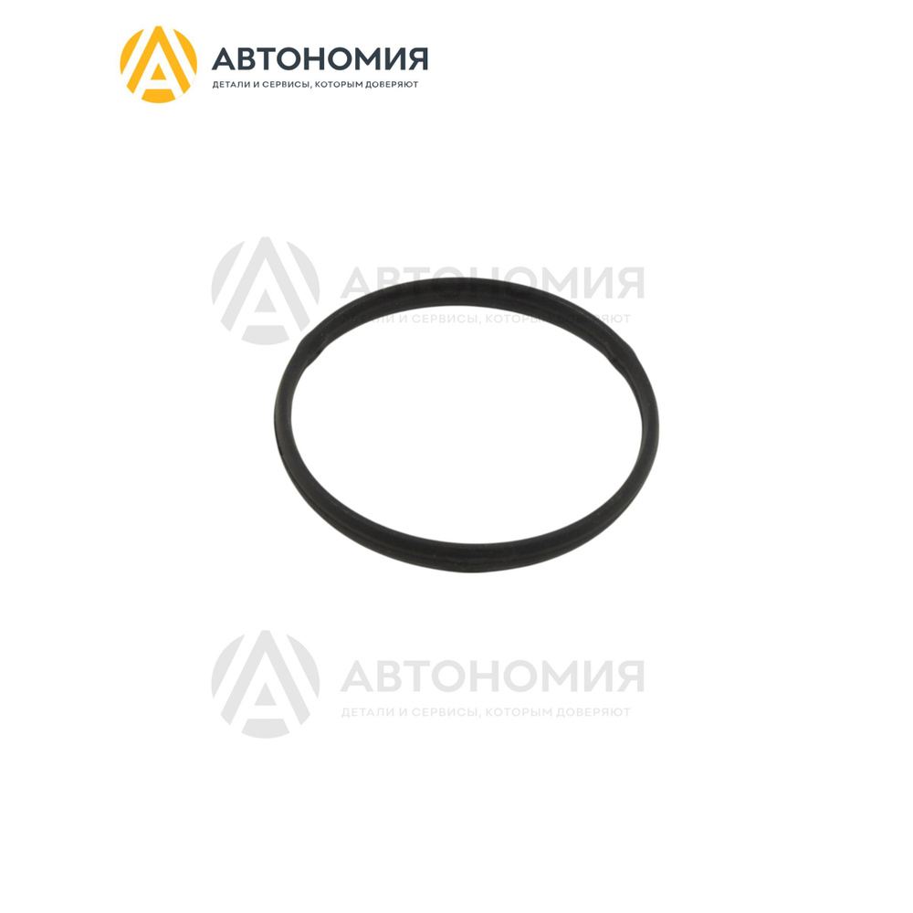 Кольцо уплотнительное Mitsubishi MD628313 #1