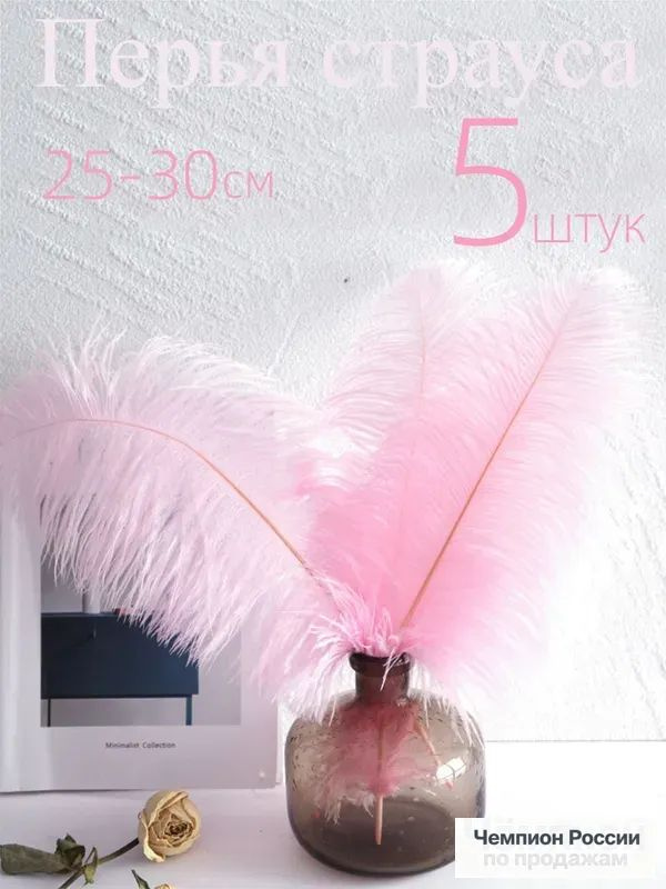Перья страуса #1