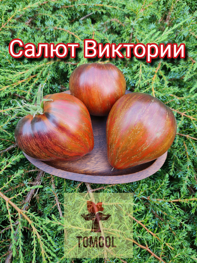 Семена #1