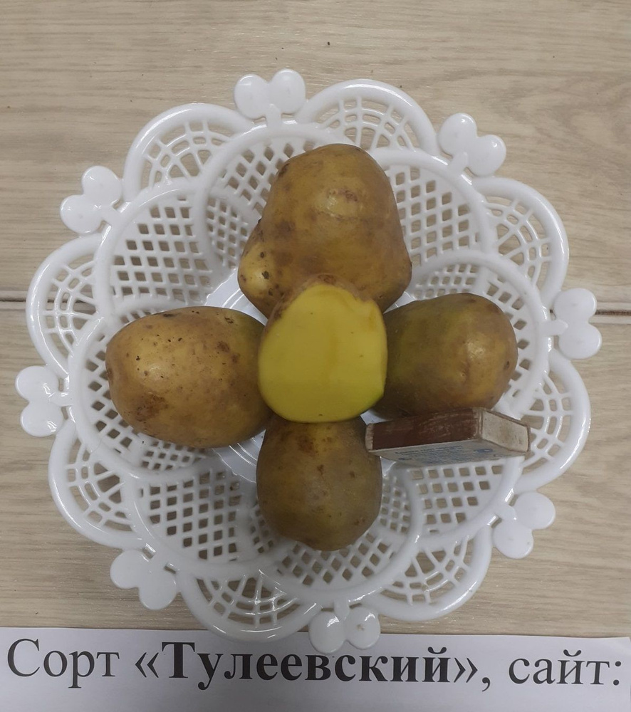 Семена #1