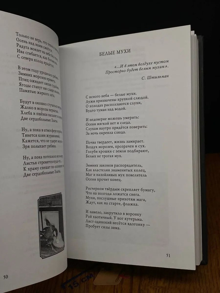 Ассоциации #1