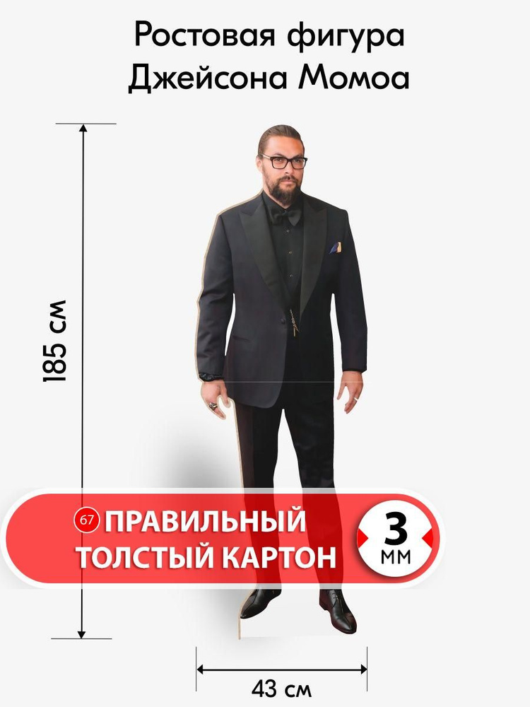 Аксессуар для фотосессий, Джейсон Момоа 3 ростовая фигура #1