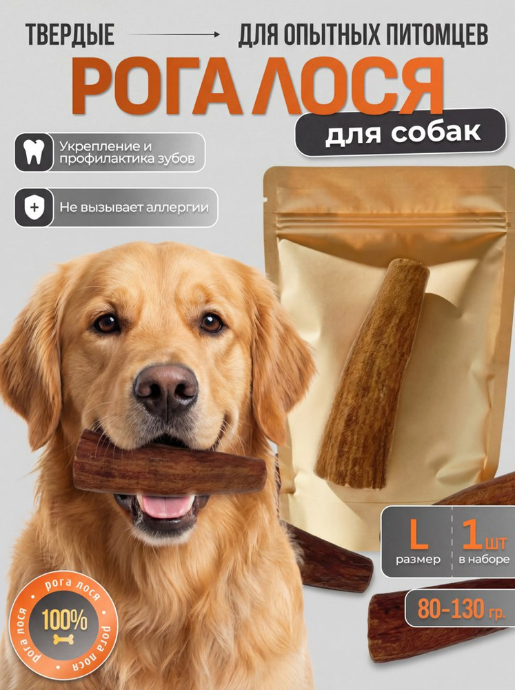 Лакомство твердые Рога ЛОСЯ для собак (Размер L, 1 рог, 80-130 гр.) #1