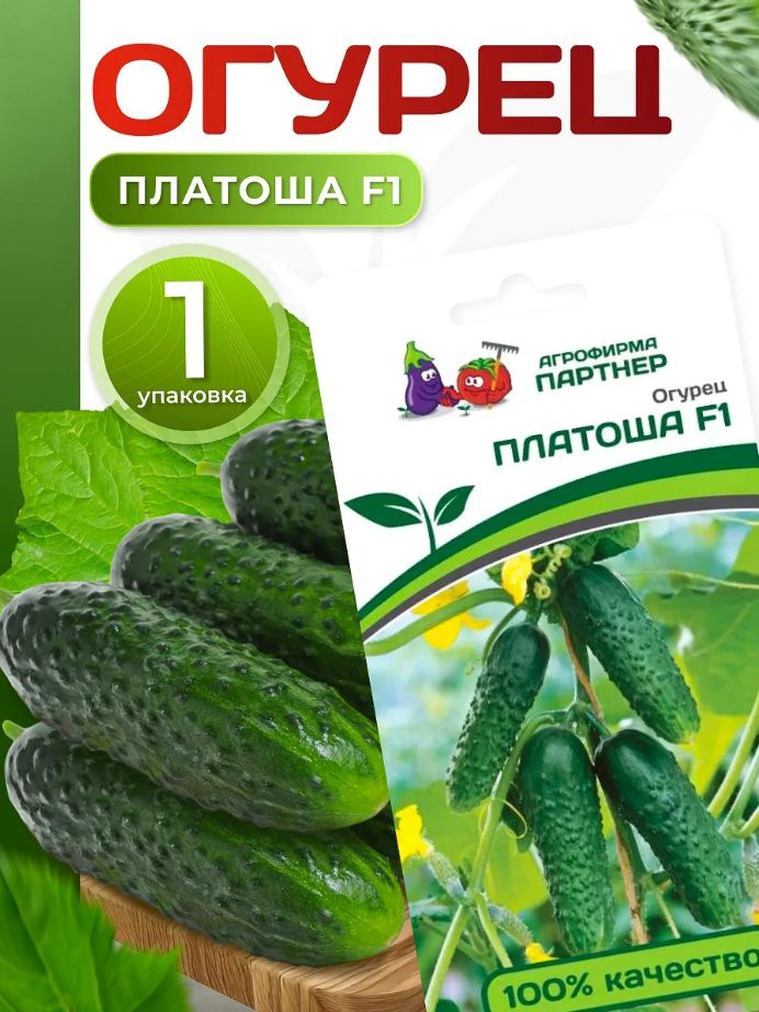 Семена огурцов Платоша #1