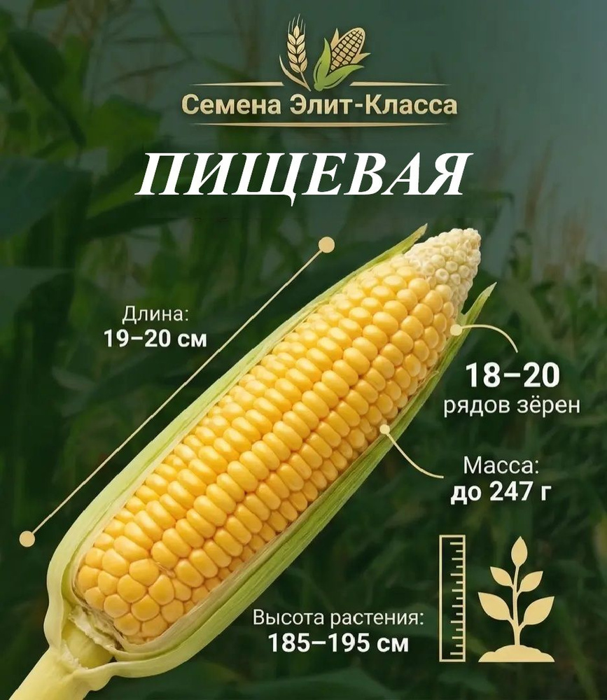 Семена ,85шт #1