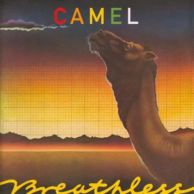 CAMEL CD купить на OZON по низкой цене
