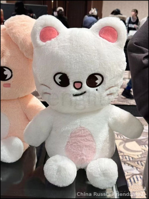 SKZOO Jiniret купить на OZON по низкой цене