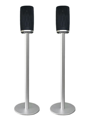 BOWERS & WILKINS FORMATION FLEX купить на OZON по низкой цене