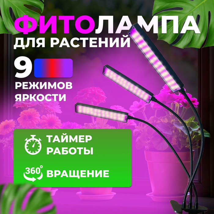 7153249754 7153249754