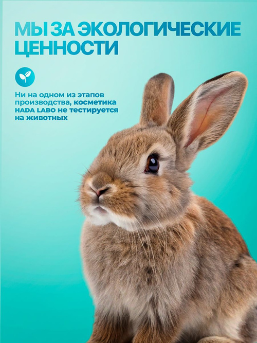 HADA LABO Пенка для умывания лица с кислотами AHA+BHA 160 мл./ для