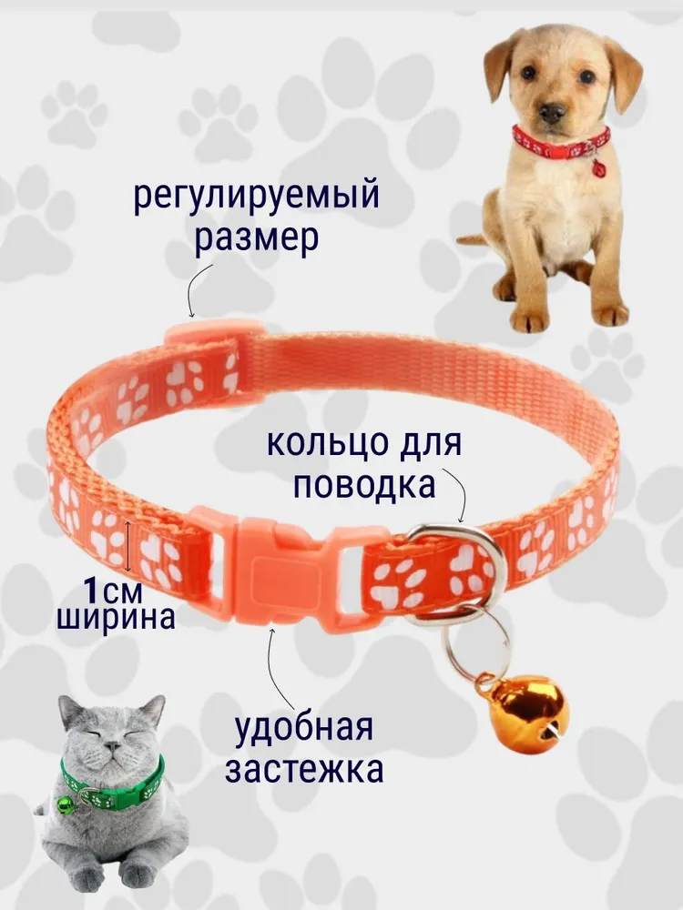 Разноцветные декоративные меточные ошейники для животных/ Идентификационные ошейники для котят, кошек, щенков, кроликов, 6 шт, 6 шт, фото 2