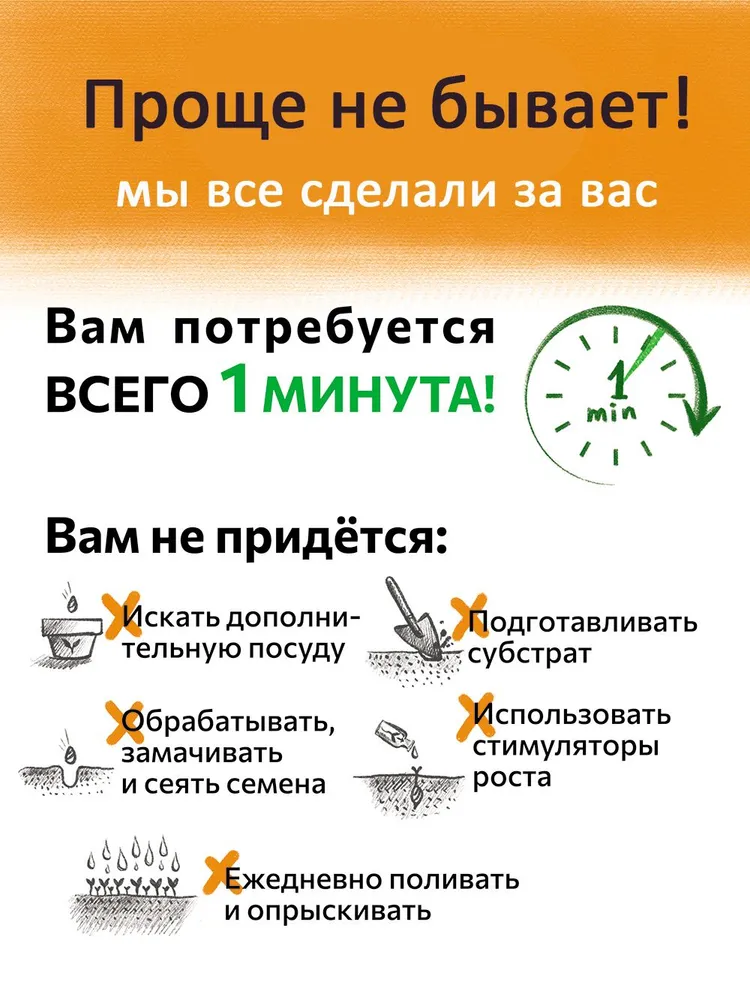 Микрозелень набор для выращивания, вариант, фото 6
