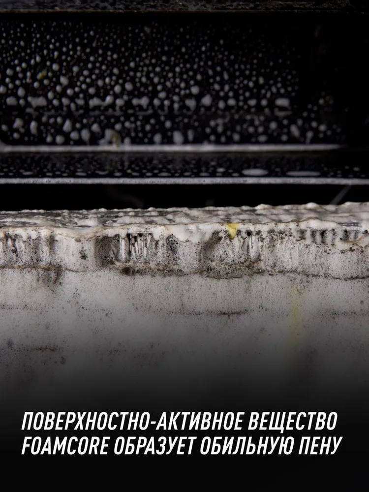 Очиститель радиатора Концентрат PROLine , 1 л / Ln2030, 1 л, фото 4