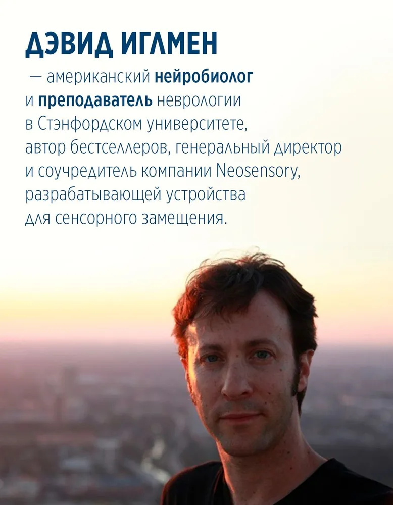 Мозг: ваша личная история, вариант, фото 5