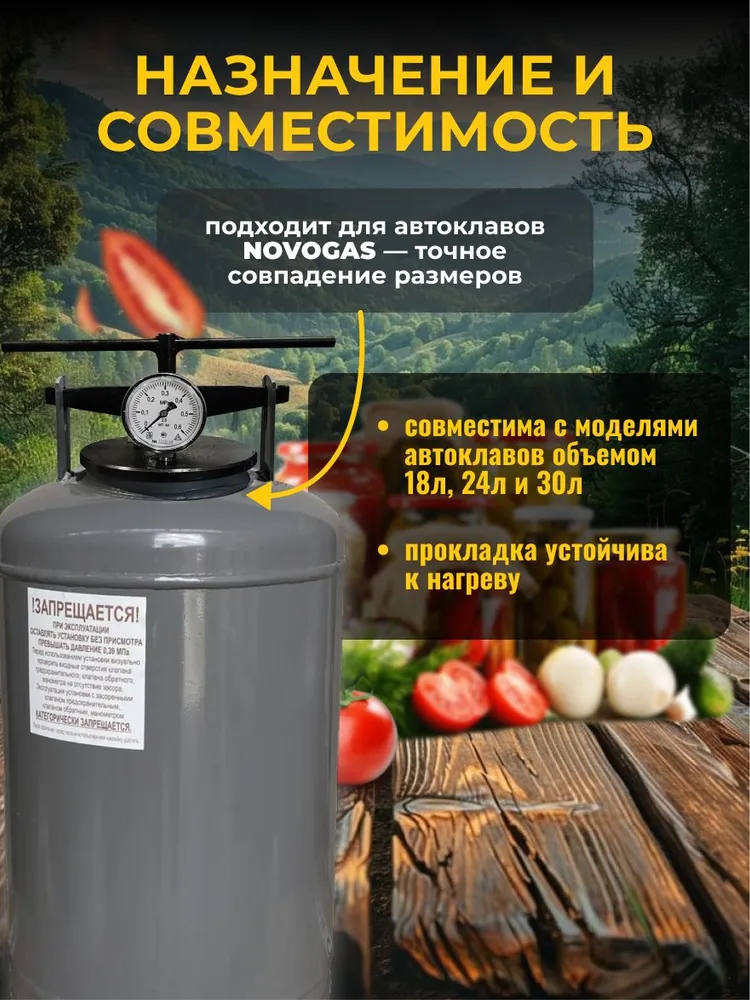 Прокладка для автоклава белорусского Novogas, вариант, фото 2