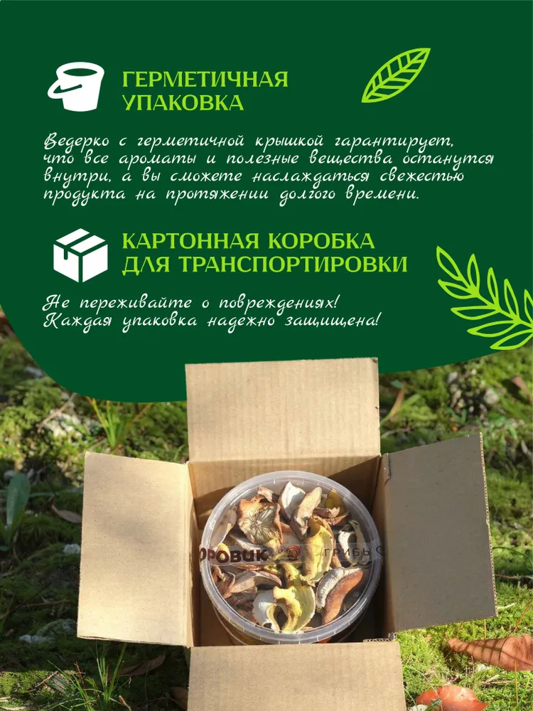Сушеные лесные грибы микс 100 г, 100 г, фото 4