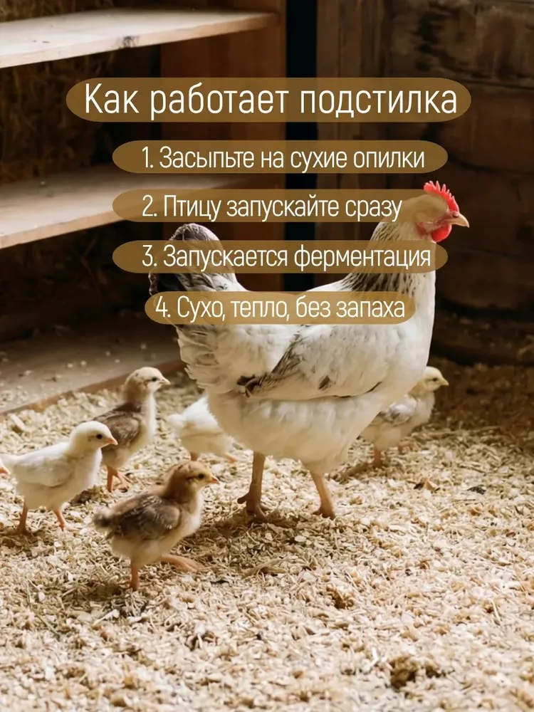 Бактерии для подстилки для кур и курятника, ферментационная подстилка для птиц Biosreda 500 гр, 250 гр, фото 2