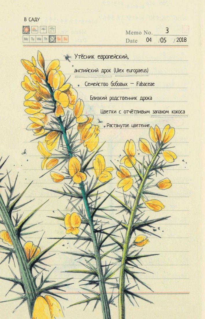 Секреты родной природы. Дневник маленьких открытий на каждый день | Secrets of Nature: A Diary of Daily Discoveries - Ozon image 7