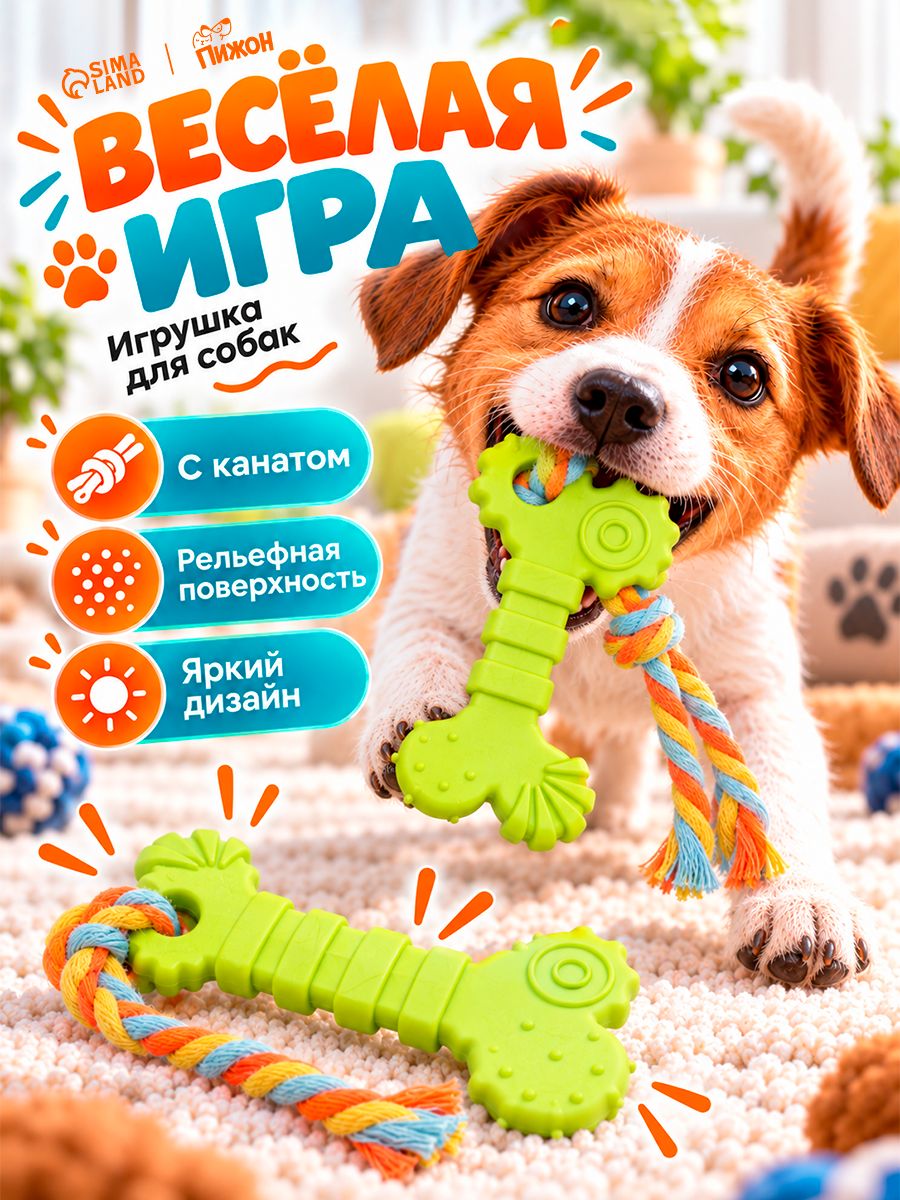 Игрушка для собак, жевательная кость на канате
