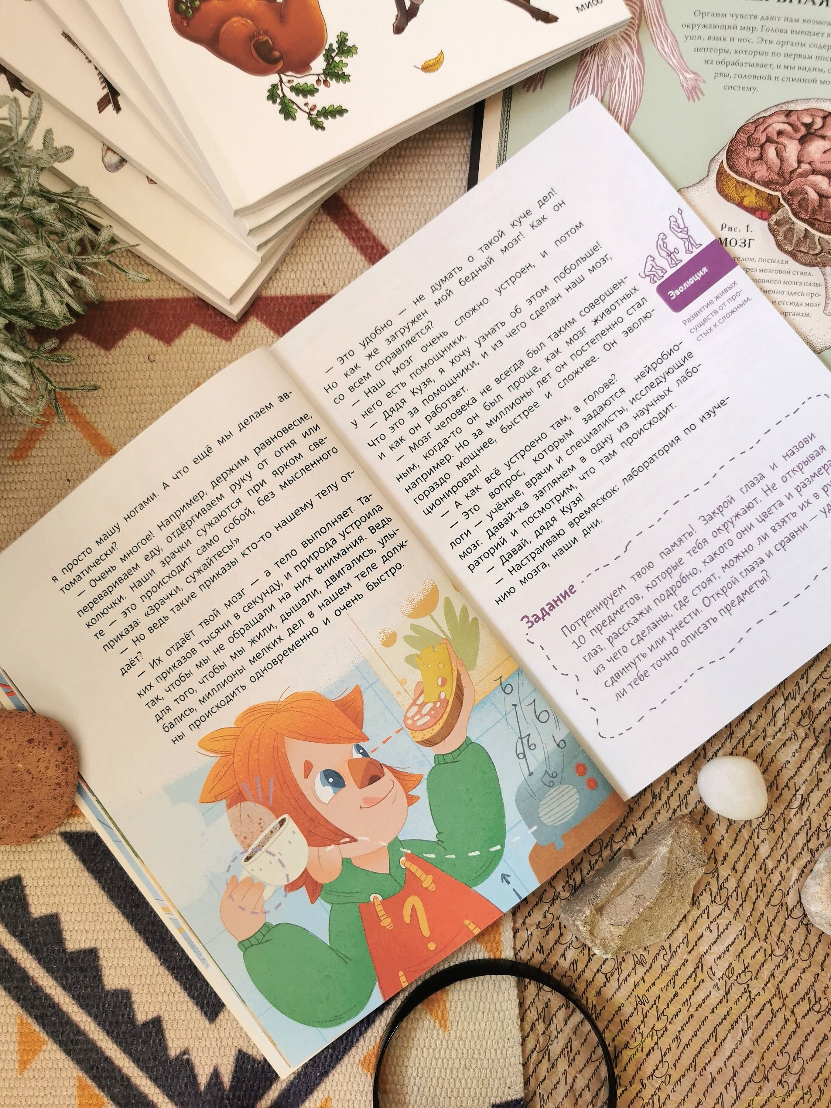 Как устроен мозг. Детская энциклопедия (Чевостик) | How the Brain Works: A Children's Encyclopedia (Chevastik) - Ozon image 4