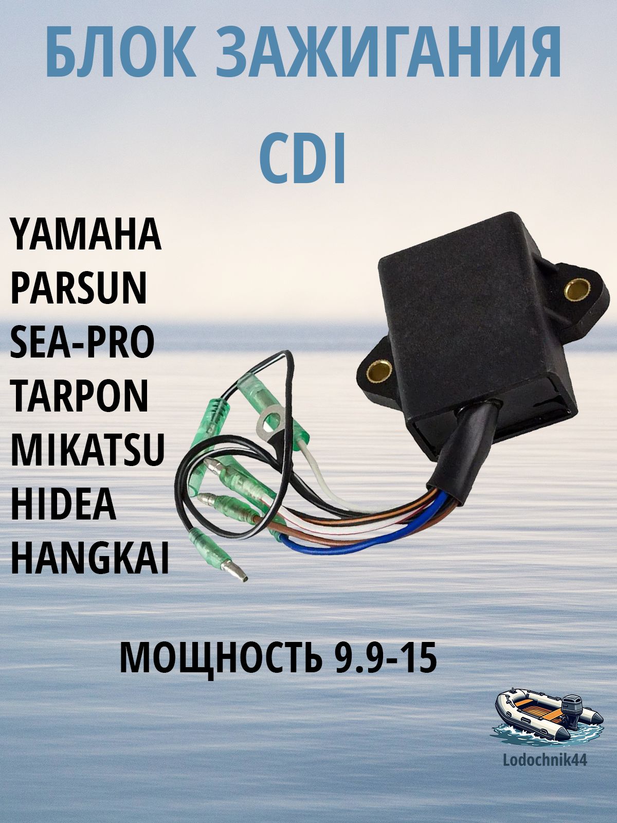 chopipi様 41CMsb+b1XL.jpg