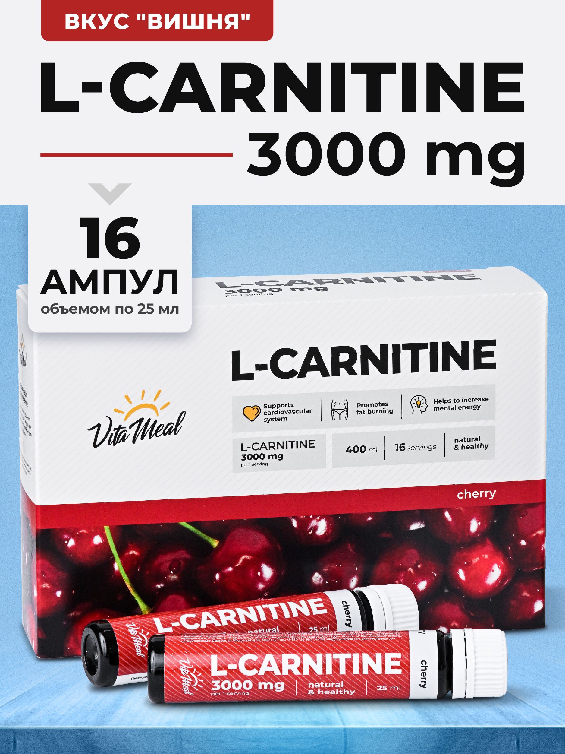 can you take acetyl l carnitine when pregnant l carnitine during pregnancy Essential L-Carnitine